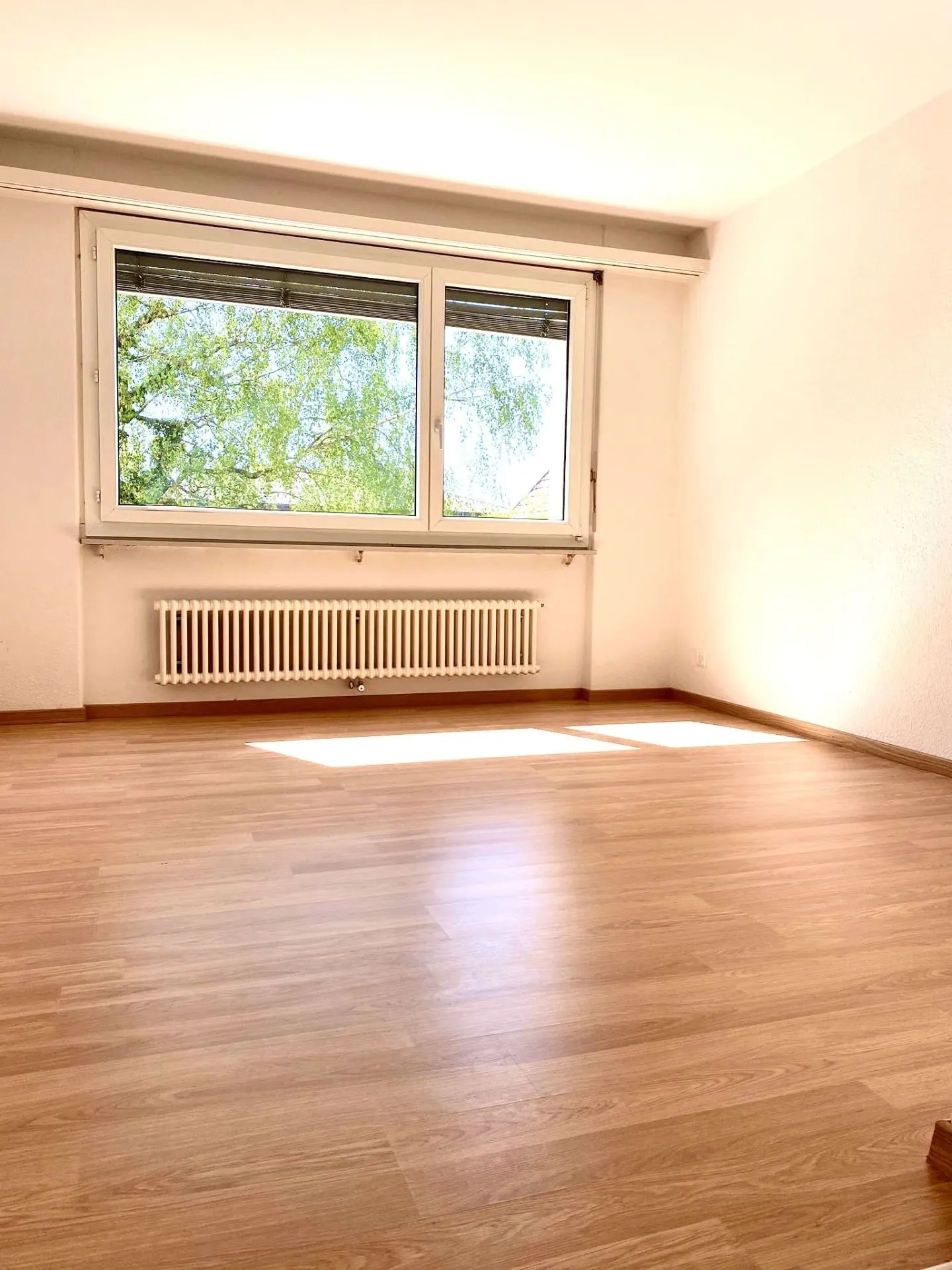 New Modern 1.5 Room Apartment in Lyss - Photo 7 of 9