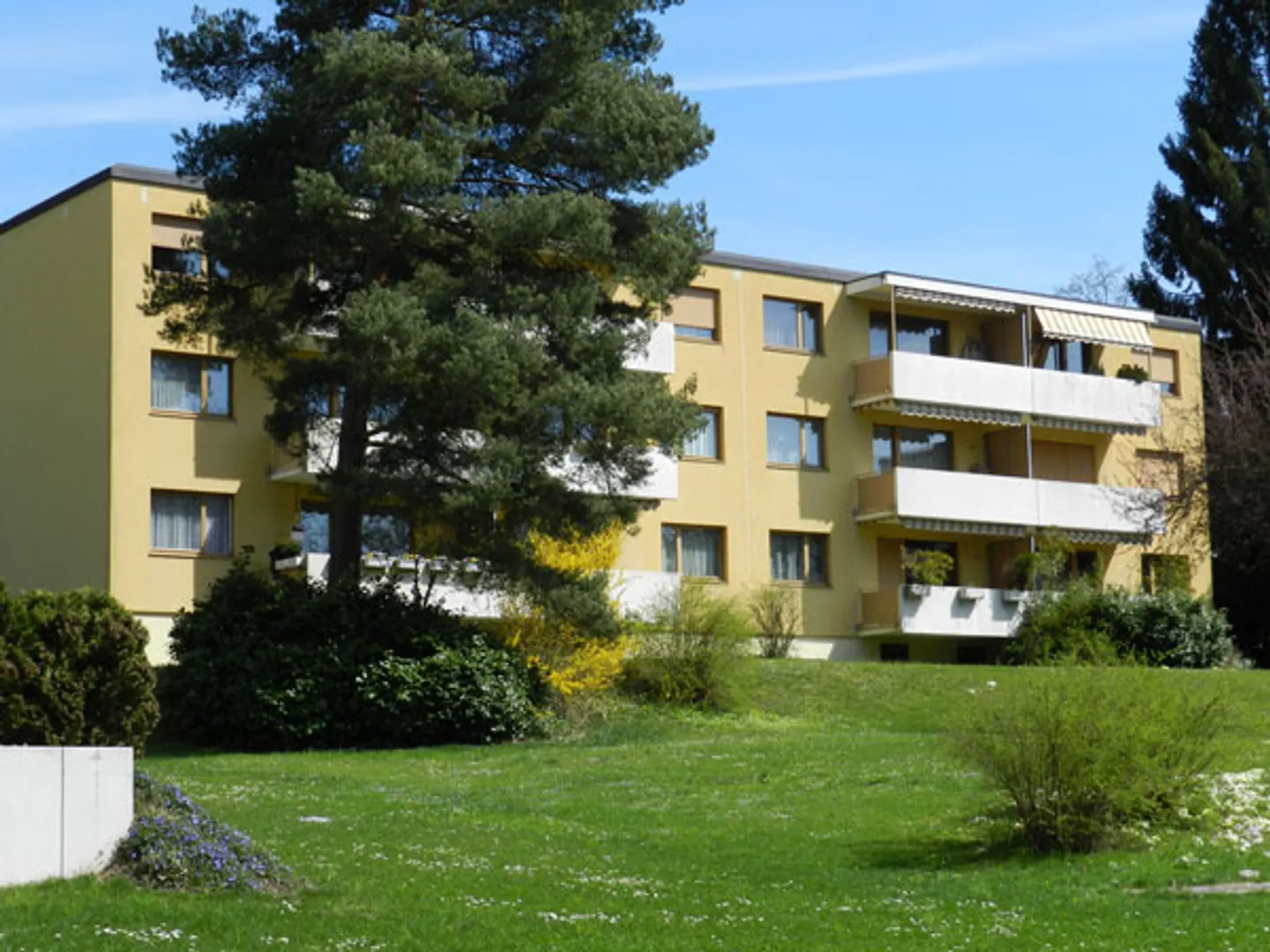 Sunny Apartment in Kilchberg - Photo 1 of 9