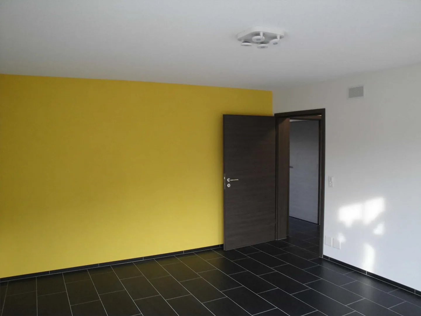 Modern Villa: Only 25 Min. to Baden & 45 Min. to Zurich/Basel - Photo 12 of 23