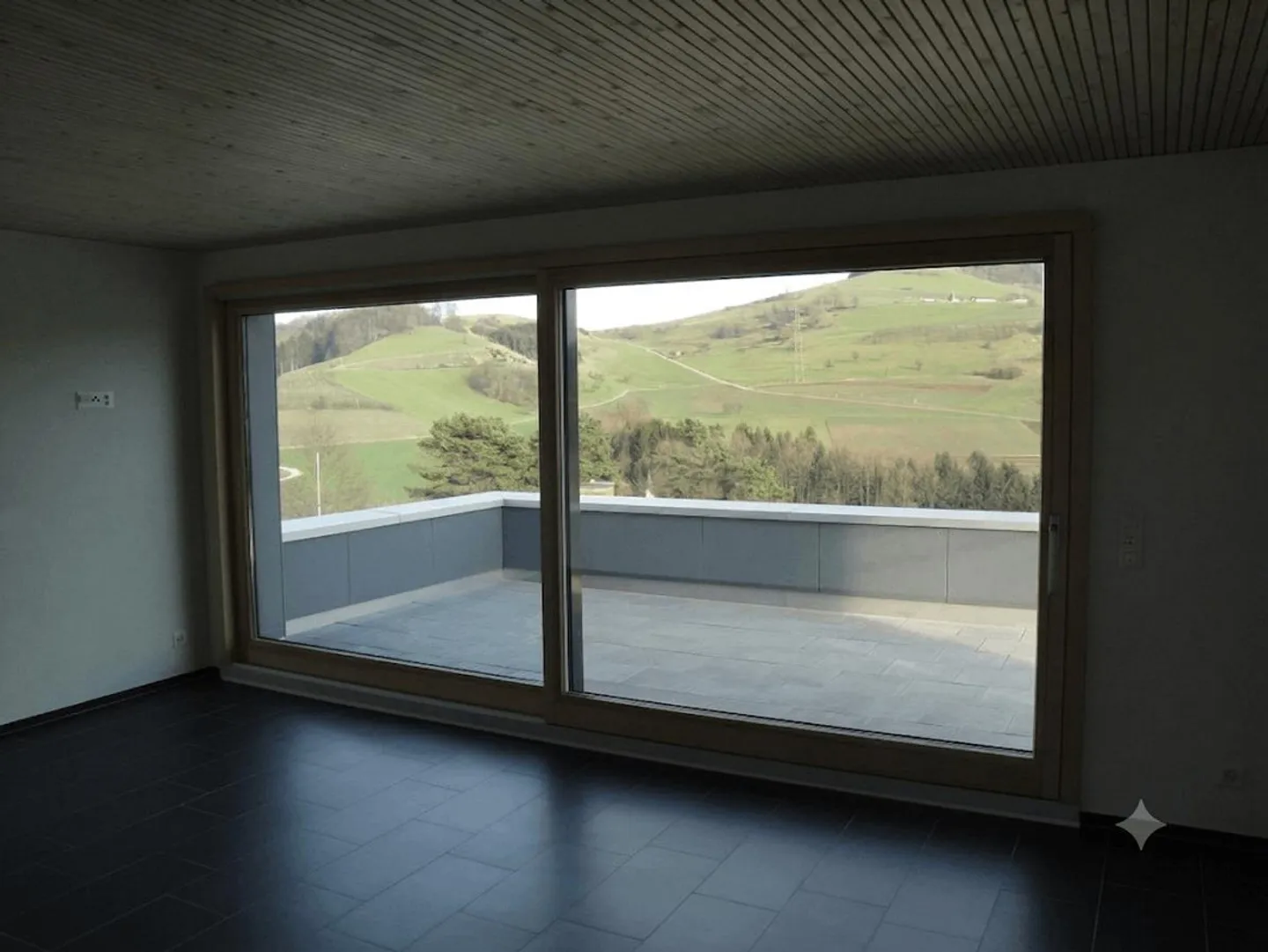 Modern Villa: Only 25 Min. to Baden & 45 Min. to Zurich/Basel - Photo 15 of 23