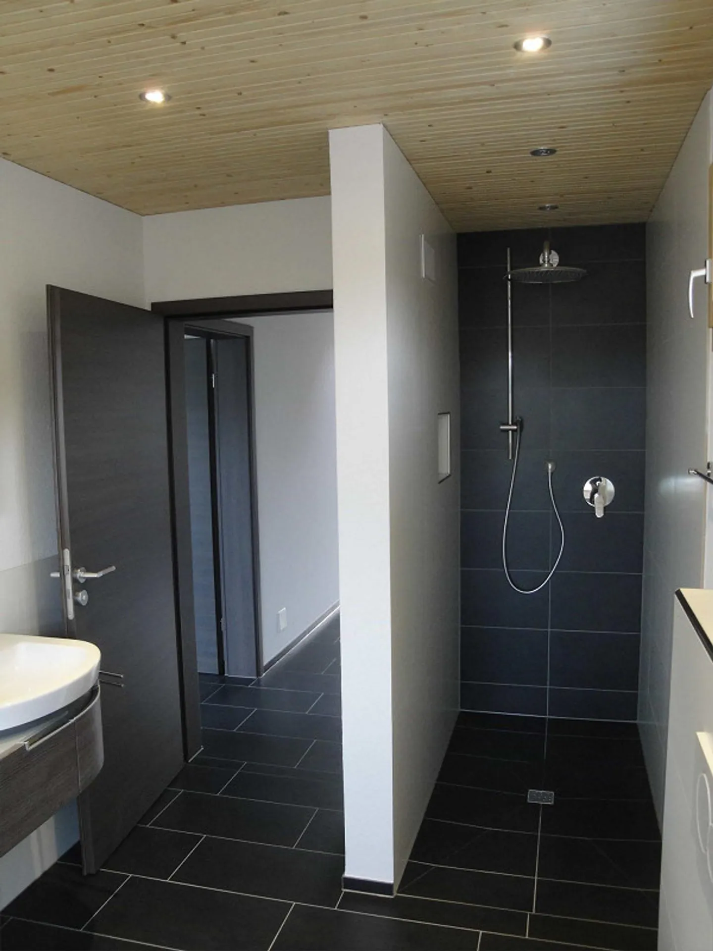 Modern Villa: Only 25 Min. to Baden & 45 Min. to Zurich/Basel - Photo 19 of 23