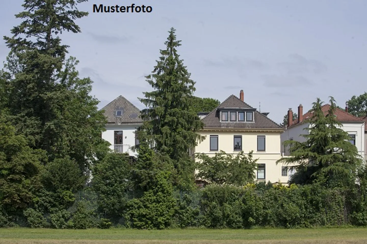 Two-Family House with Winter Garden - Photo 1 of 13