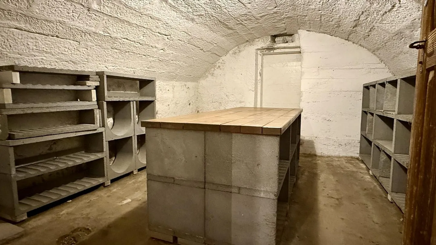 Magazzino in affitto - Foto 7 di 10