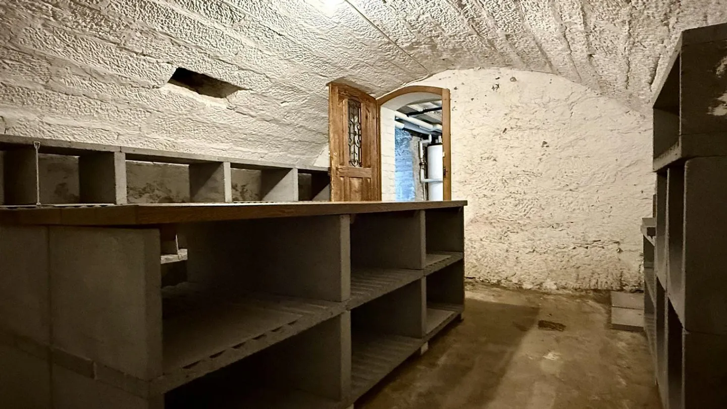 Magazzino in affitto - Foto 6 di 10