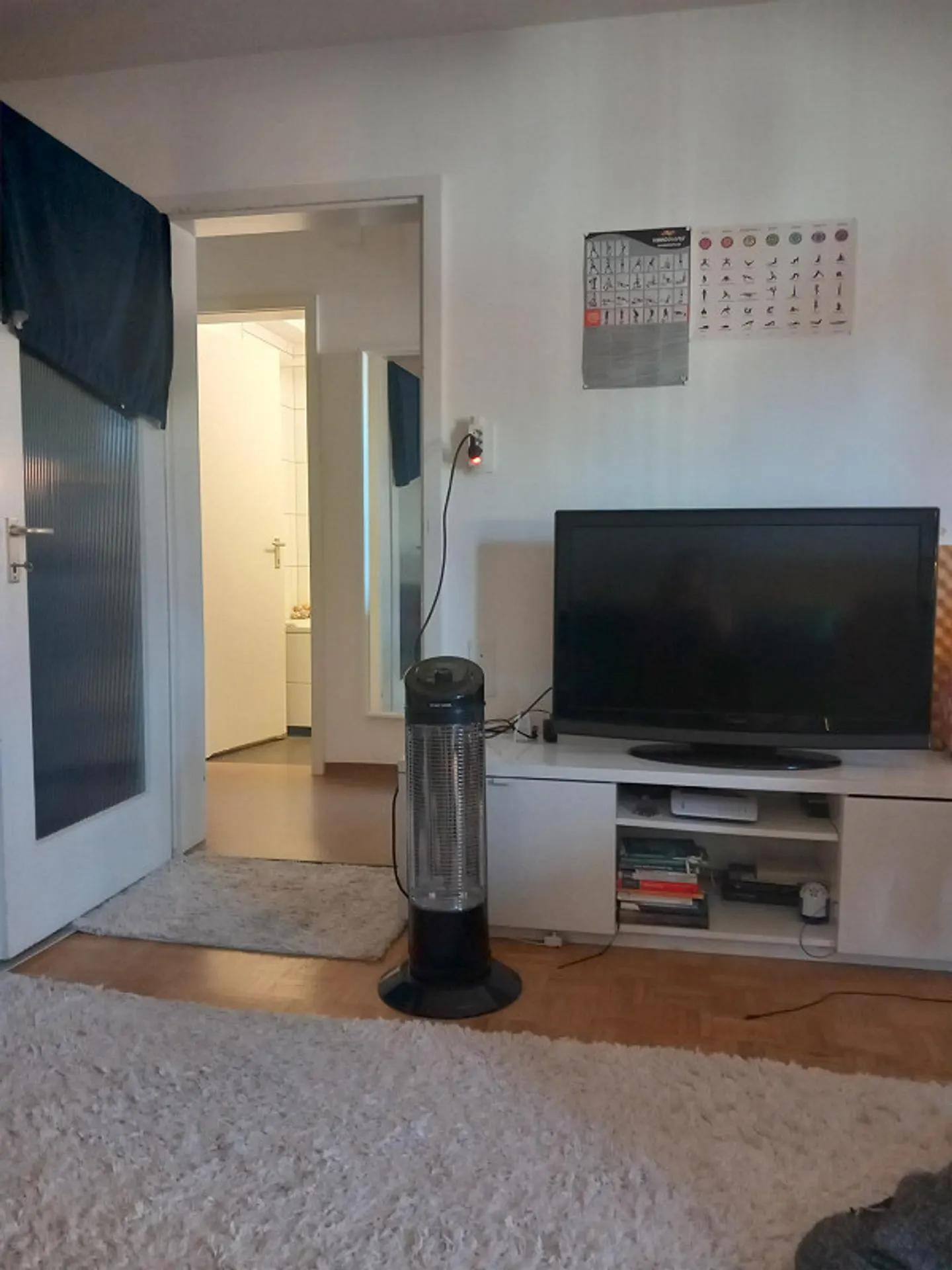 Sonnige zentrale Wohnung verfügbar - Foto 3 von 8