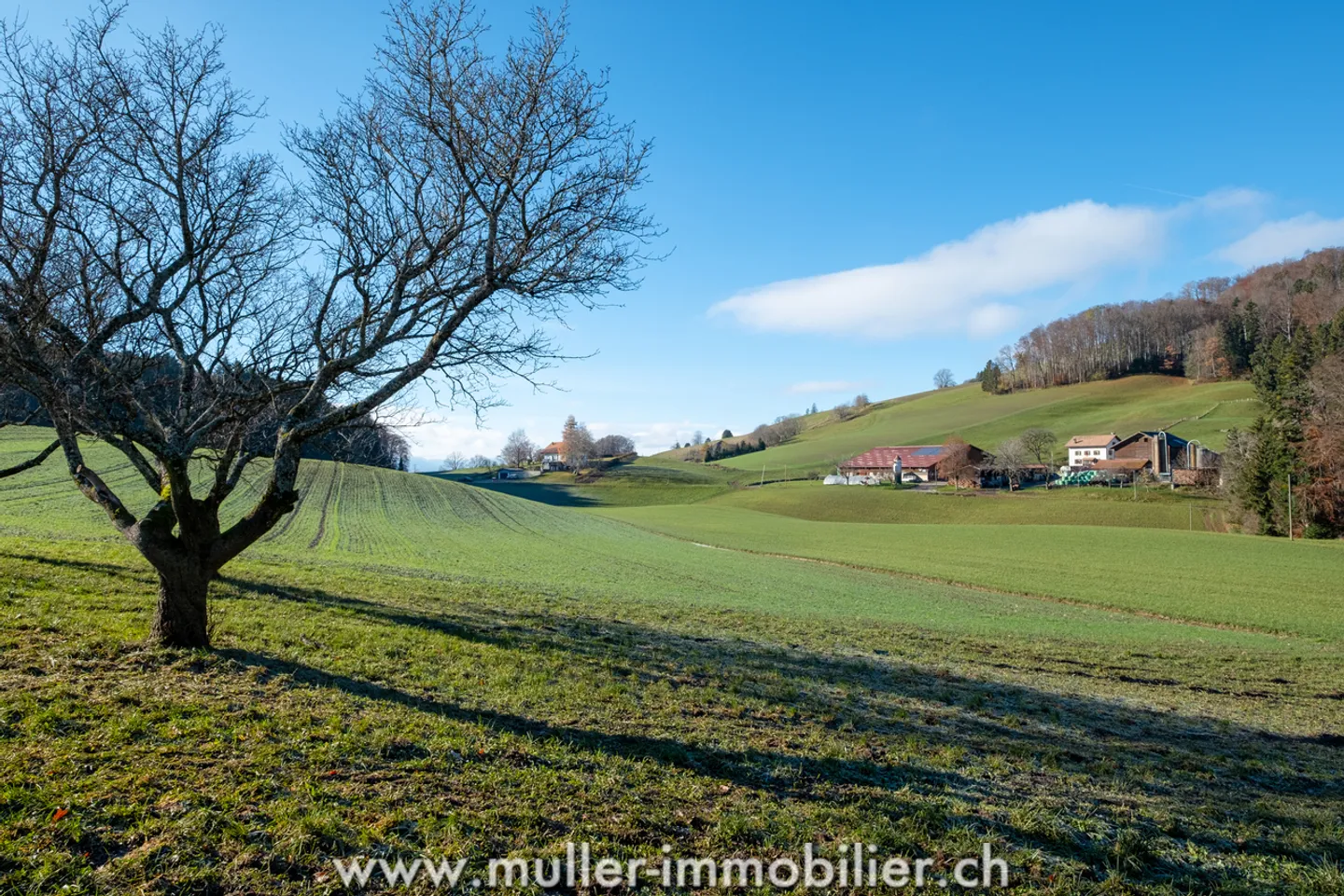 Renovated Barn: Quiet Surroundings Surrounded by Fields - Photo 12 of 13