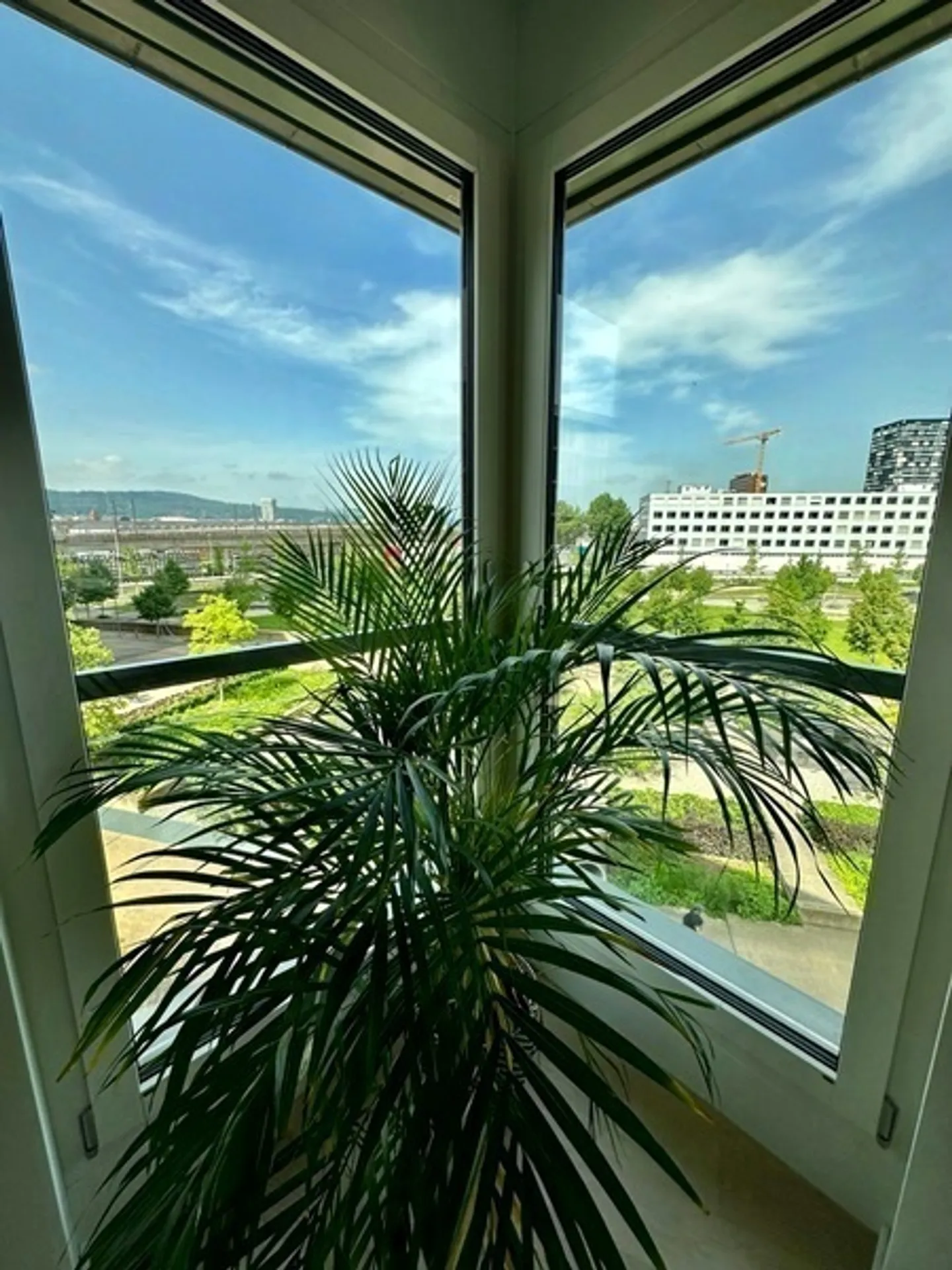 Appartamento arredato con vista parco - Foto 9 di 9