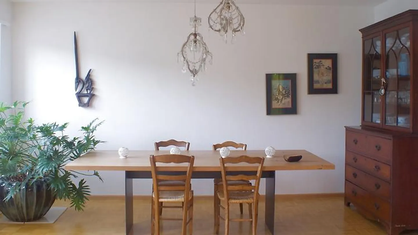 APPARTEMENT 3 PIÈCES À BASEL - ST. JOHANN, MEUBLÉ, TEMPORAIRE - Photo 3 sur 10