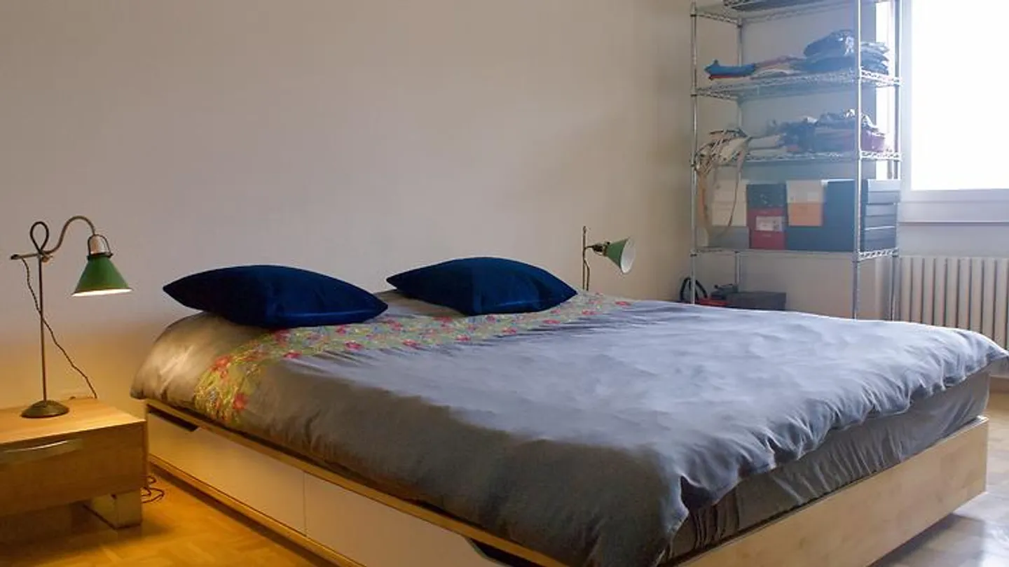 APPARTEMENT 3 PIÈCES À BASEL - ST. JOHANN, MEUBLÉ, TEMPORAIRE - Photo 8 sur 10