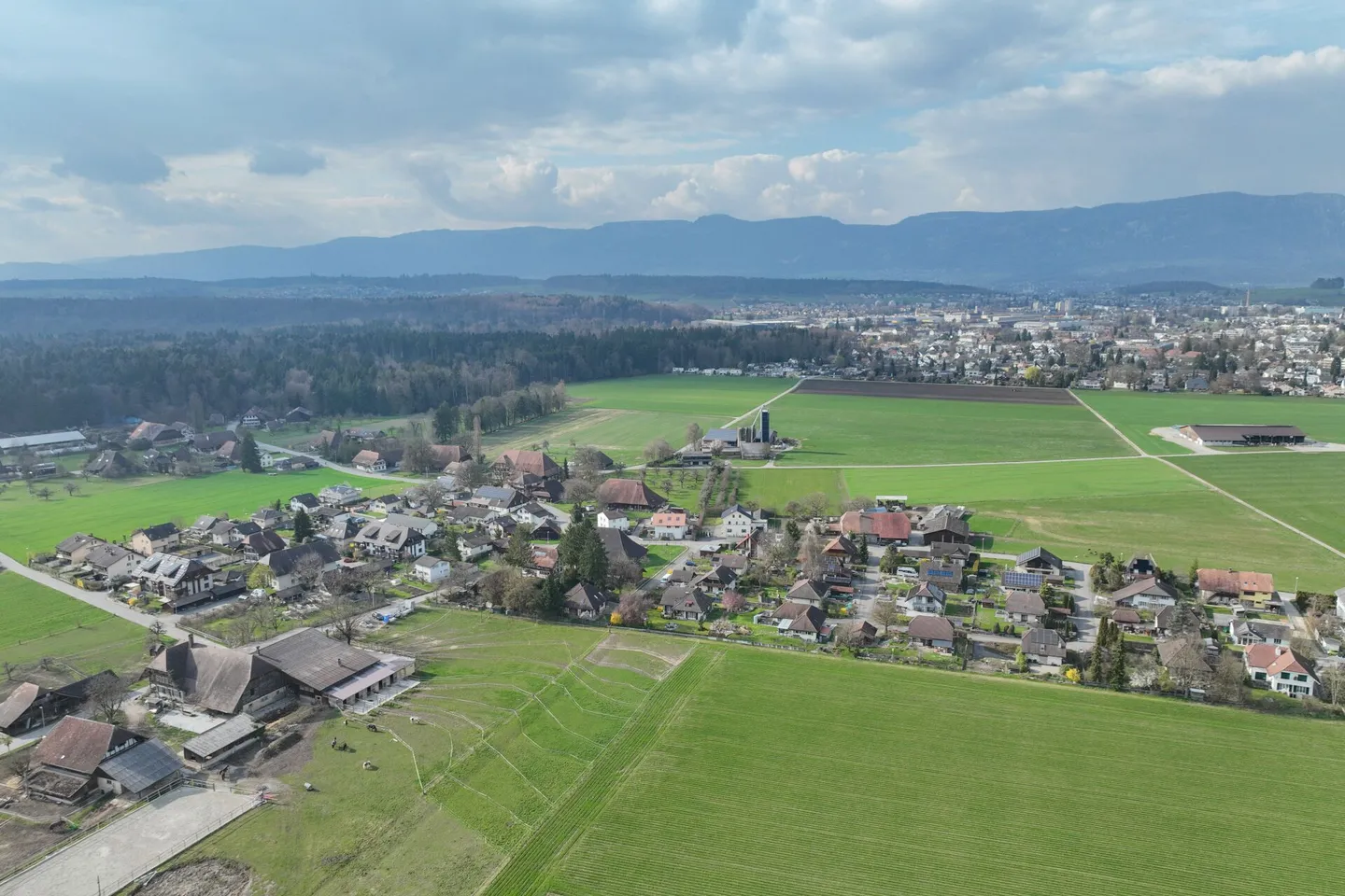 Peace, Sun, Space: dreamy country house on the edge of the meadow - Photo 2 of 12