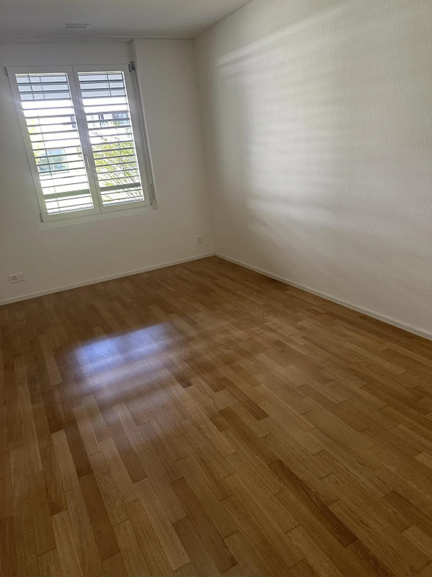 Attractive 4.5 Room Ground Floor Apartment Near the Birs - Photo 6 of 7