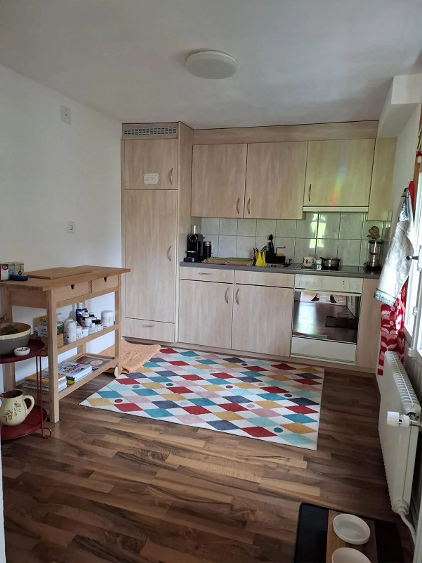 Accogliente appartamento di 4 stanze nel bellissimo Toggenburg / Alt St. Johann - Foto 5 di 18