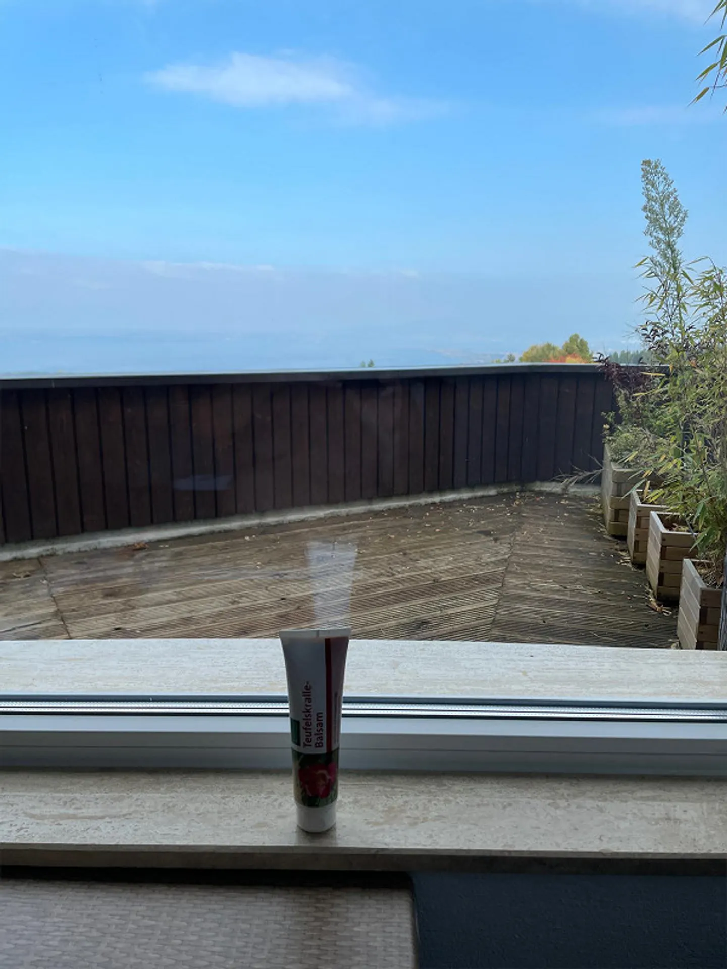 Cerca un nuovo inquilino per studio con vista sul Lago di Costanza e grande balcone a Wienacht - Foto 5 di 19