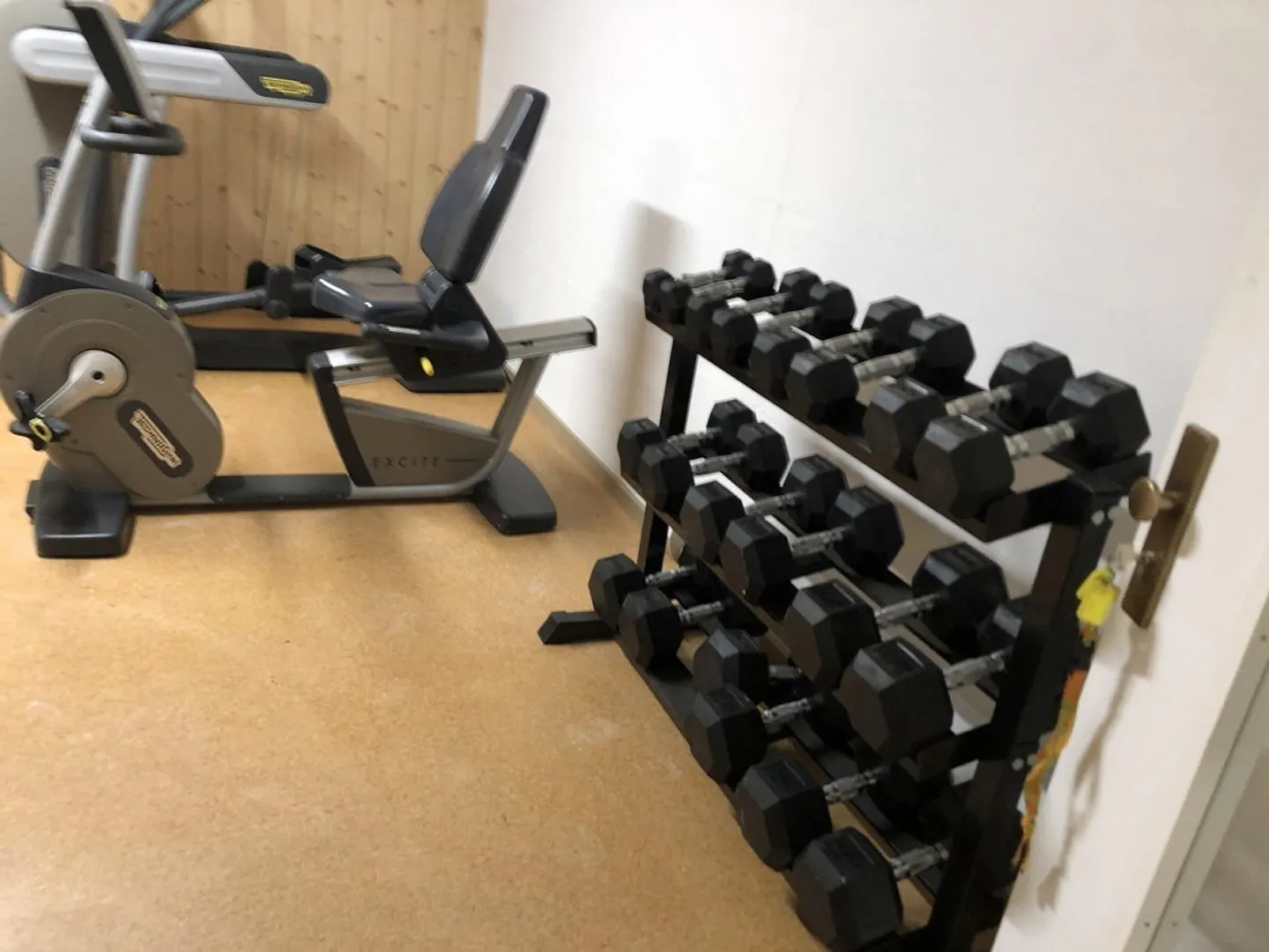 Cerca un nuovo inquilino per studio con vista sul Lago di Costanza e grande balcone a Wienacht - Foto 9 di 19