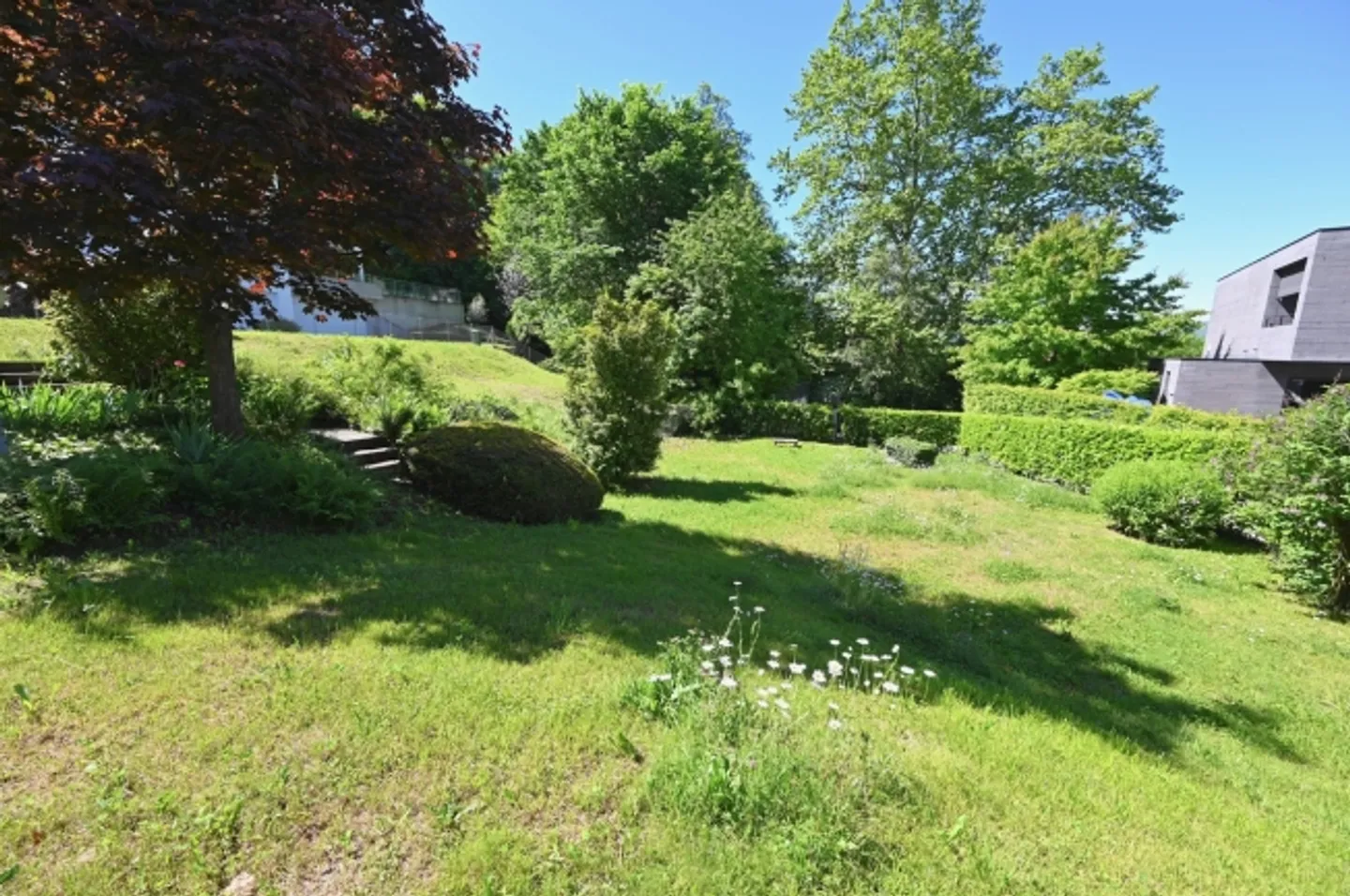 Building plot in Montagnola - representative residential area - Photo 3 of 4