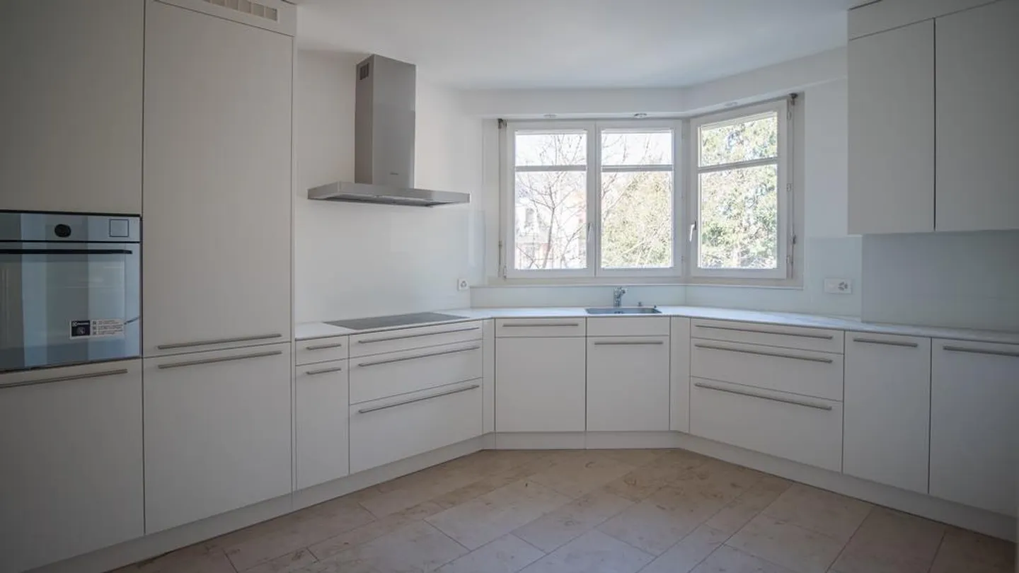 APPARTAMENTO STRAVAGANTE CON 5 CAMERE NEL CUORE DI BASEL - Foto 2 di 12