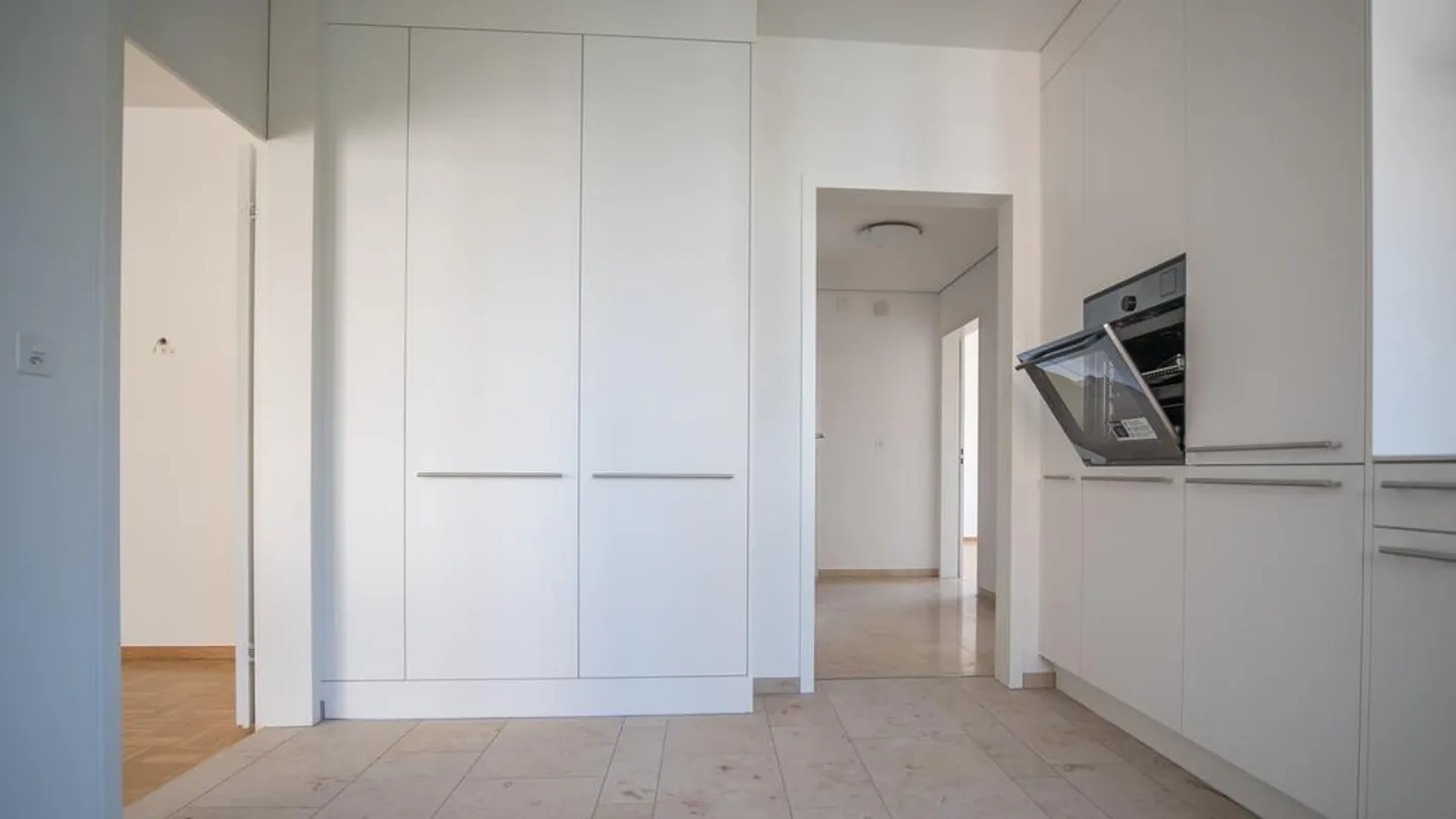 APPARTAMENTO STRAVAGANTE CON 5 CAMERE NEL CUORE DI BASEL - Foto 3 di 12