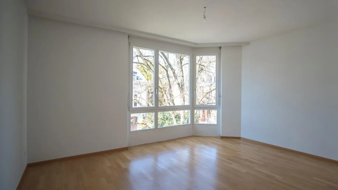 APPARTAMENTO STRAVAGANTE CON 5 CAMERE NEL CUORE DI BASEL - Foto 8 di 12