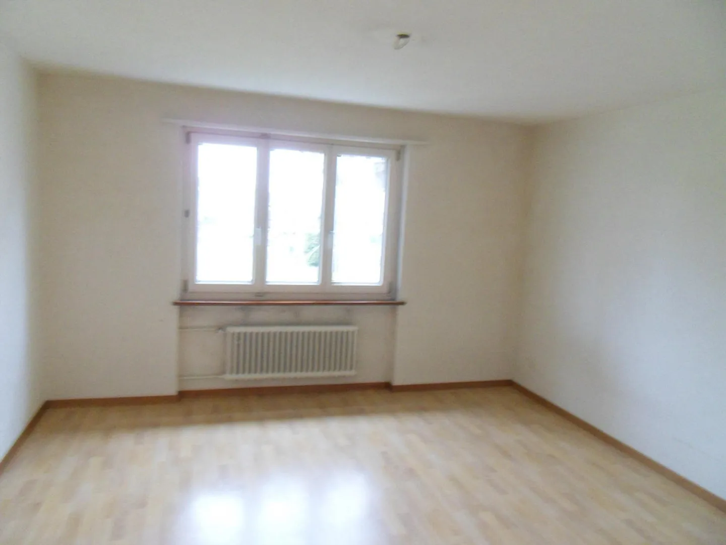 Cozy and bright 3-room apartment on the 1st floor - Photo 3 of 5