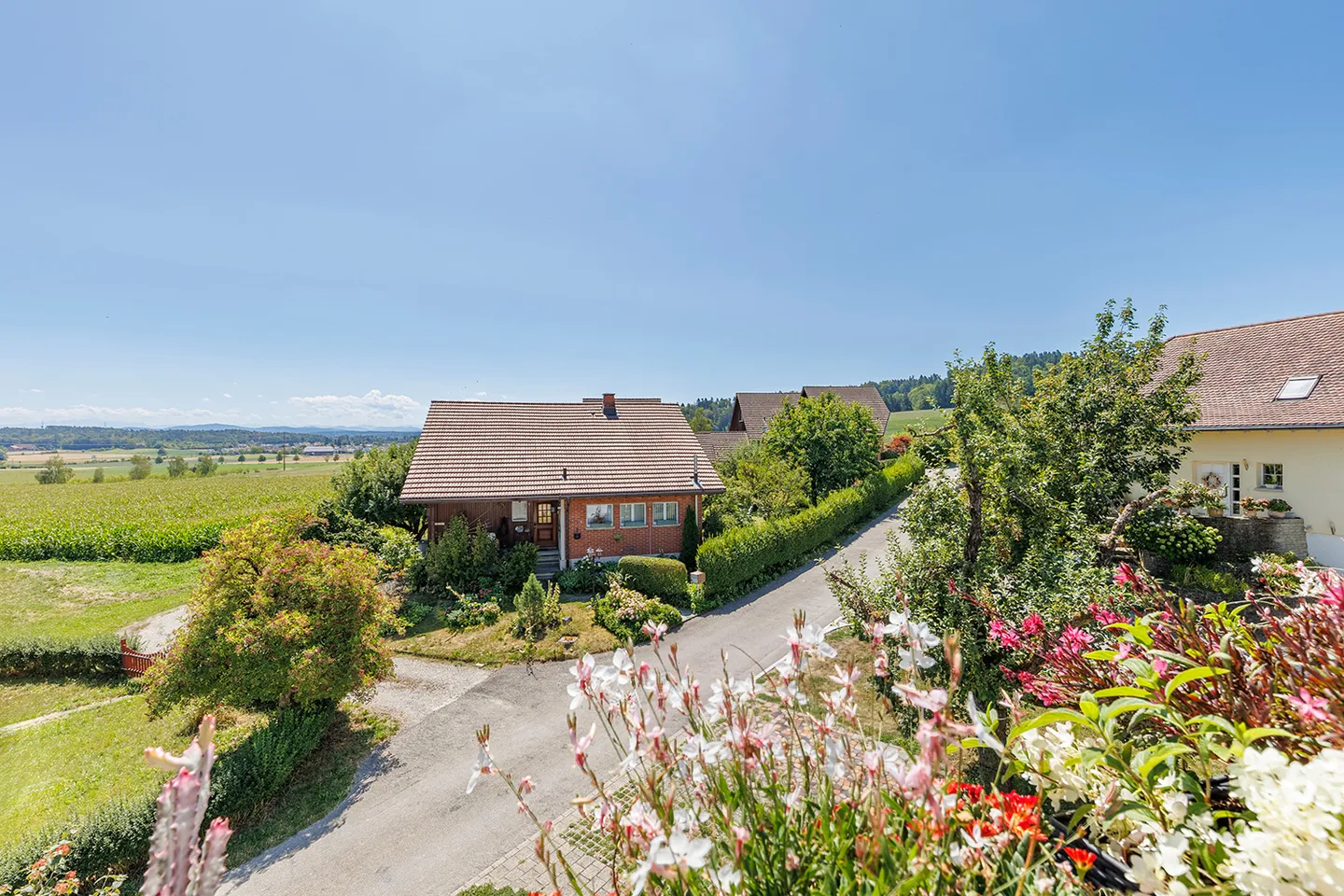 Your new home in the Zurich wine region - spacious, bright, and close to nature - Photo 3 of 7
