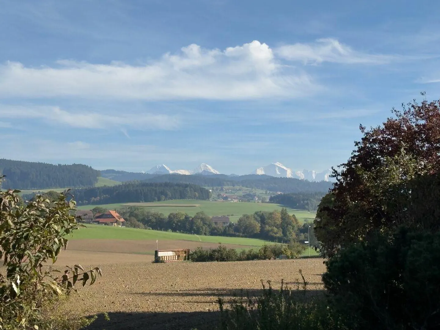 Detached 5-room single-family house in bungalow style in sunny location with versatile development opportunities - Photo 4 of 30