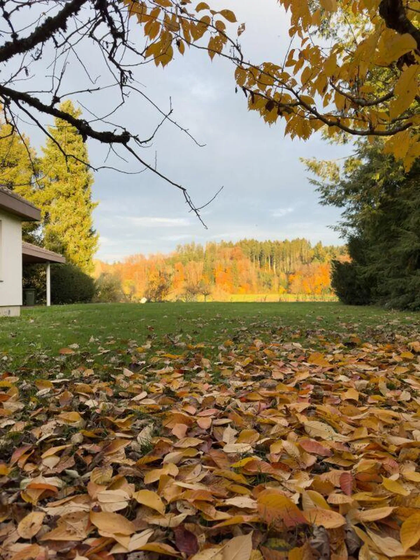 Detached 5-room single-family house in bungalow style in sunny location with versatile development opportunities - Photo 24 of 30