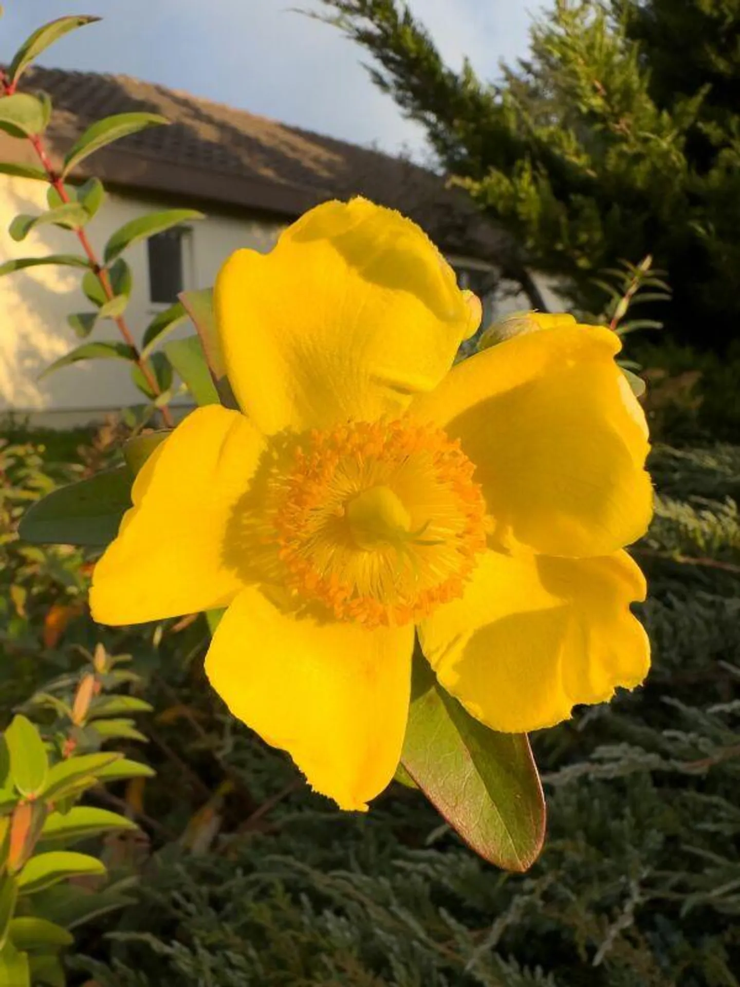 Detached 5-room single-family house in bungalow style in sunny location with versatile development opportunities - Photo 25 of 30