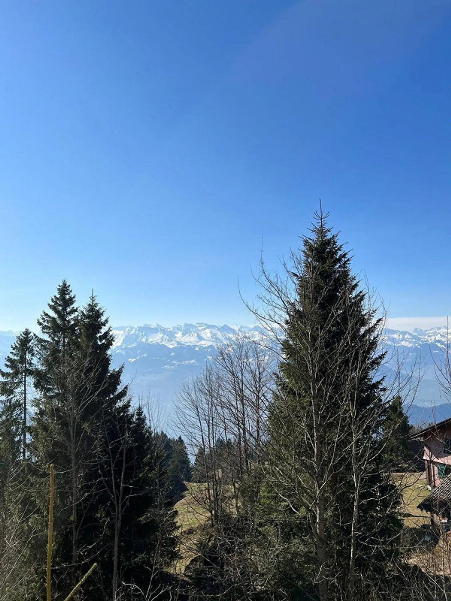 BERGWOHNUNG - Ferienwohnung auf Rigi-Kaltbad - Foto 8 di 10