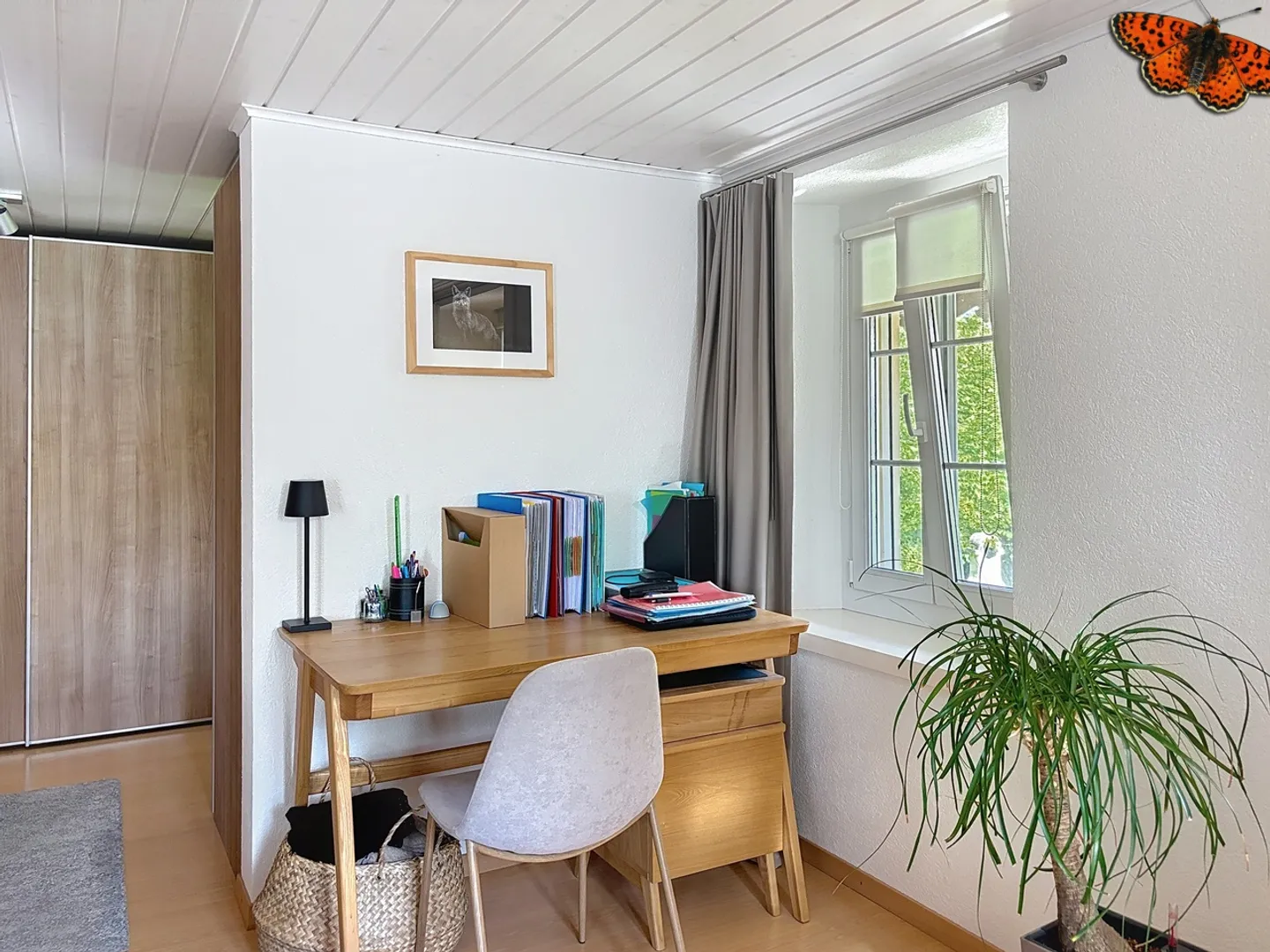Charming Village House with 2 Apartments in Progens - Photo 17 of 34