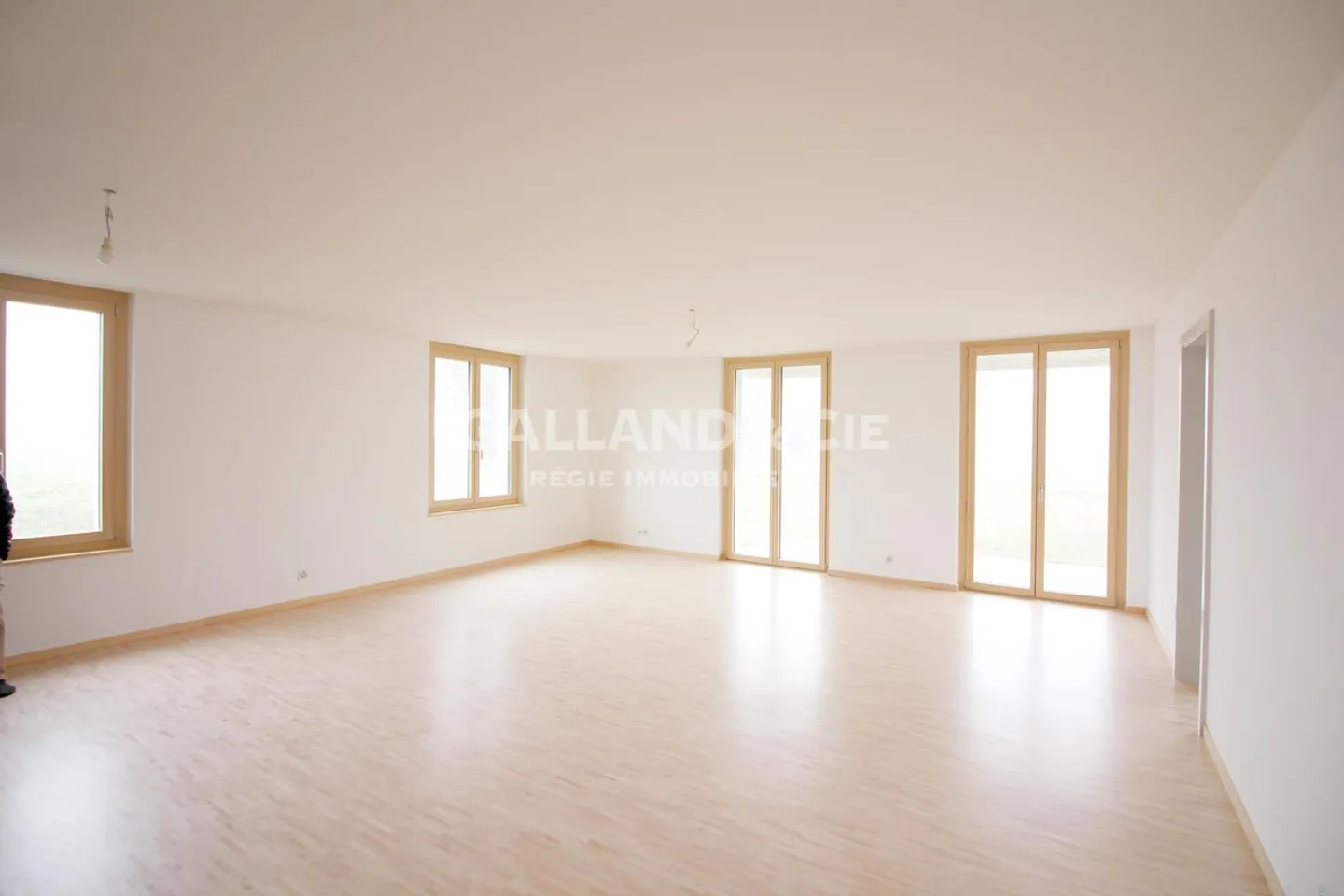 3,5-Zimmer-Wohnung - Foto 3 von 9