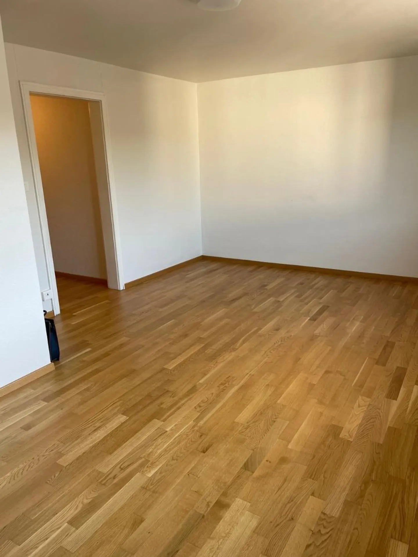 Charming 1.5-Room Bijou Apartment in Dübendorf – Im Winkel 7 - Photo 8 of 13