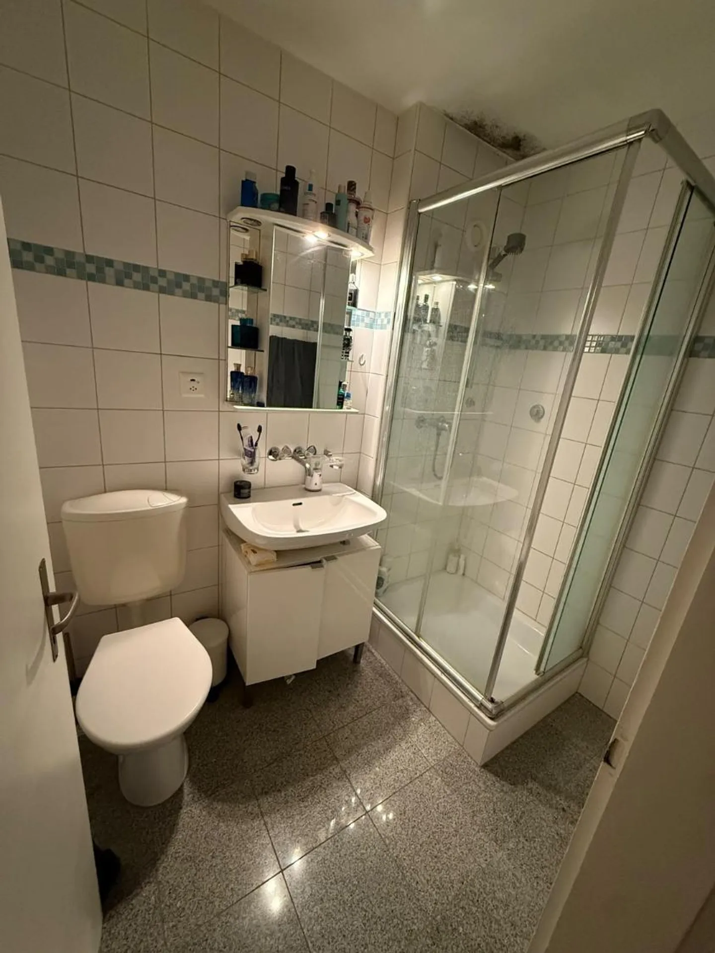 Charming 1.5-Room Bijou Apartment in Dübendorf – Im Winkel 7 - Photo 10 of 13
