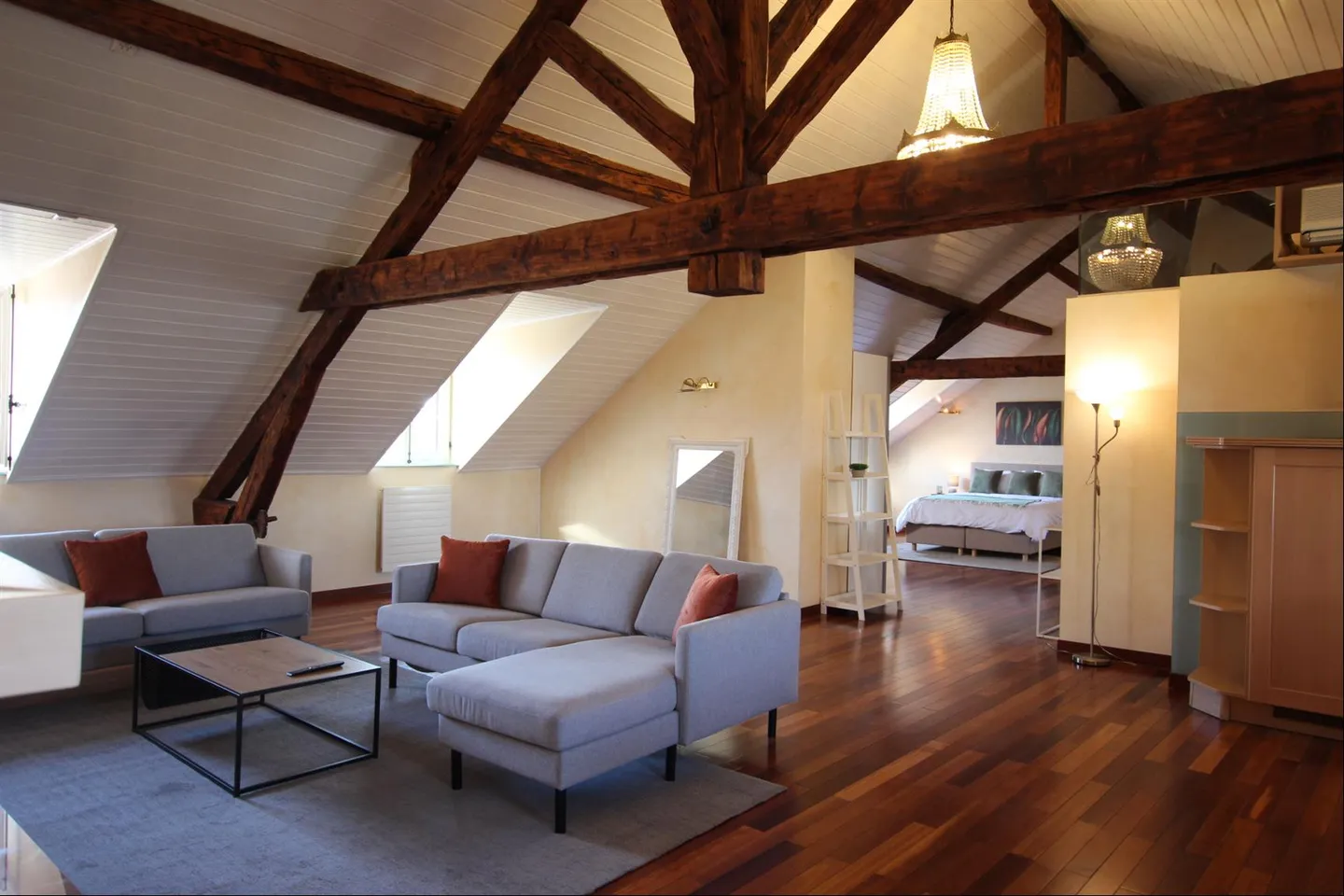 Magnifique Loft en Attique à Genève - Photo 2 sur 9