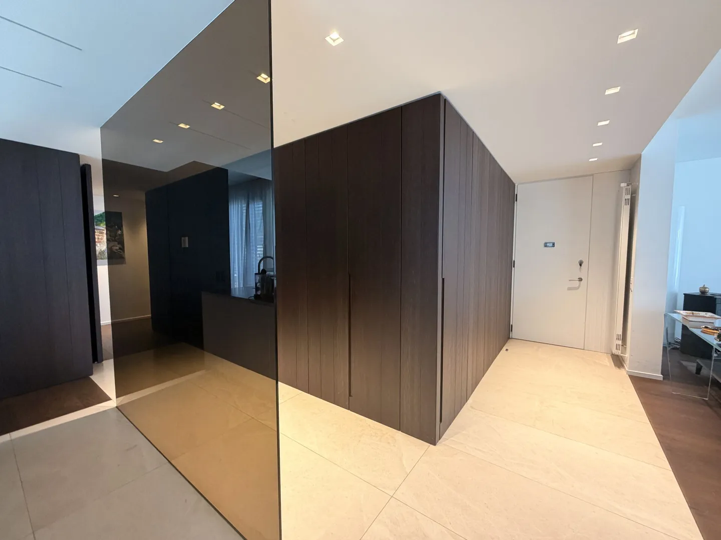 LUGANO - EXCLUSIVE PENTHOUSE WITH LAKE VIEW - SWIMMING POOL IN THE CENTRAL PARK RESIDENCE - Photo 4 of 15