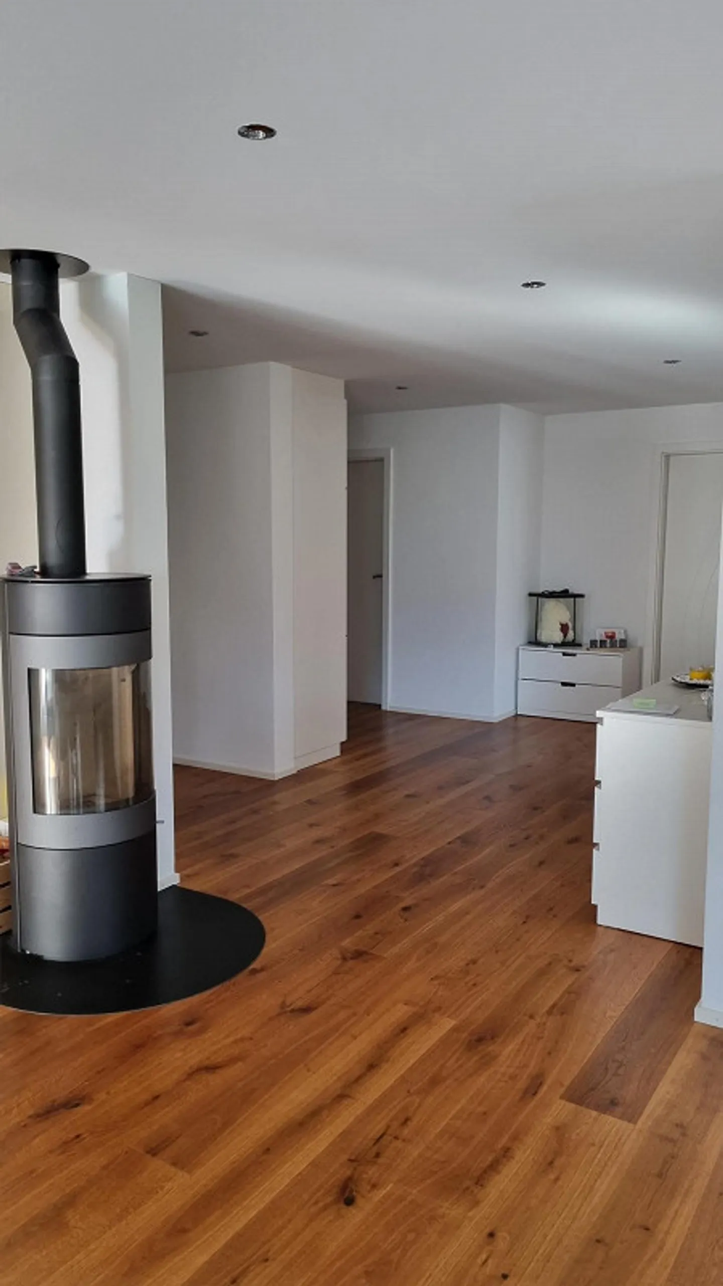 Appartamento 4.5 stanze - Standard di proprietà - Ingresso privato - Foto 2 di 5