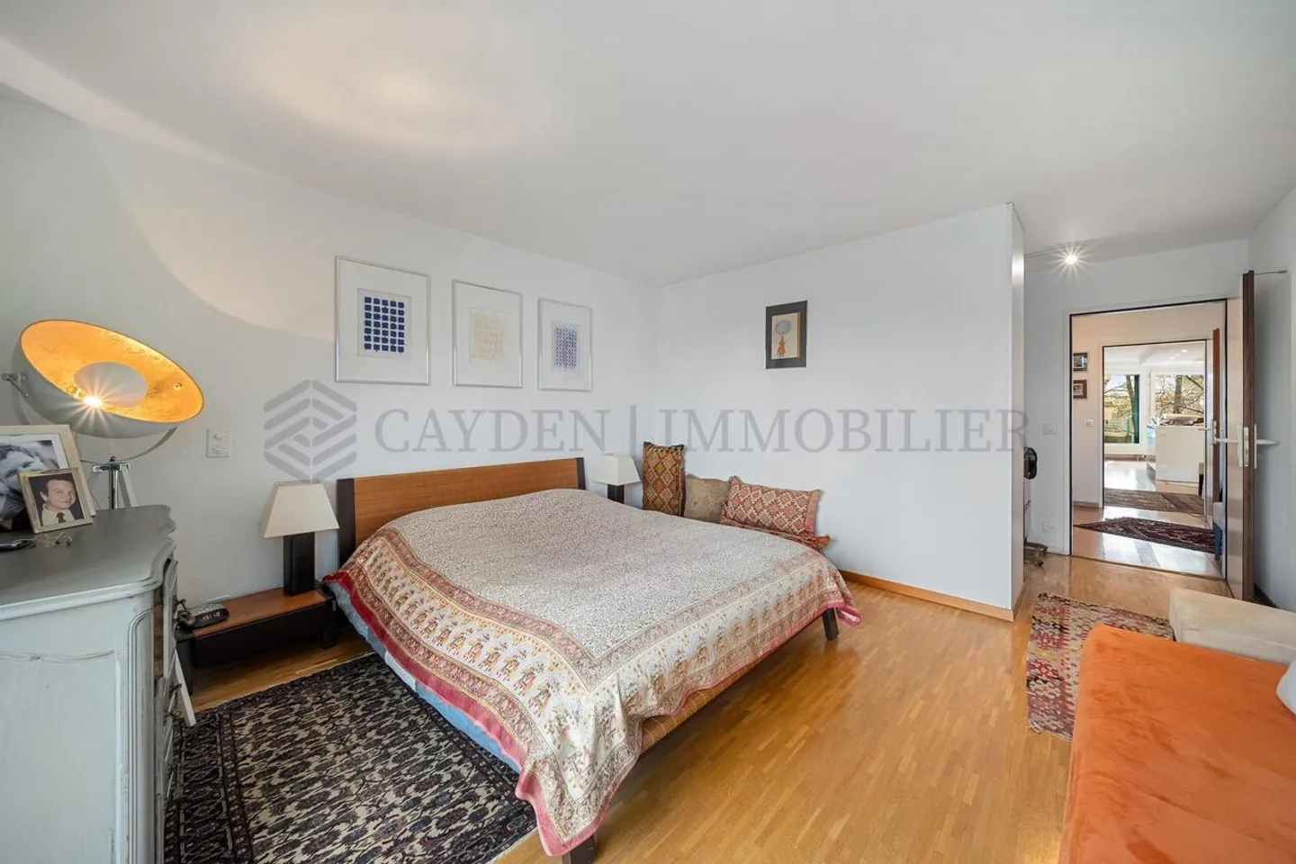 Magnifico appartamento di 4,5 stanze nel quartiere Eaux-Vives - Foto 4 di 13