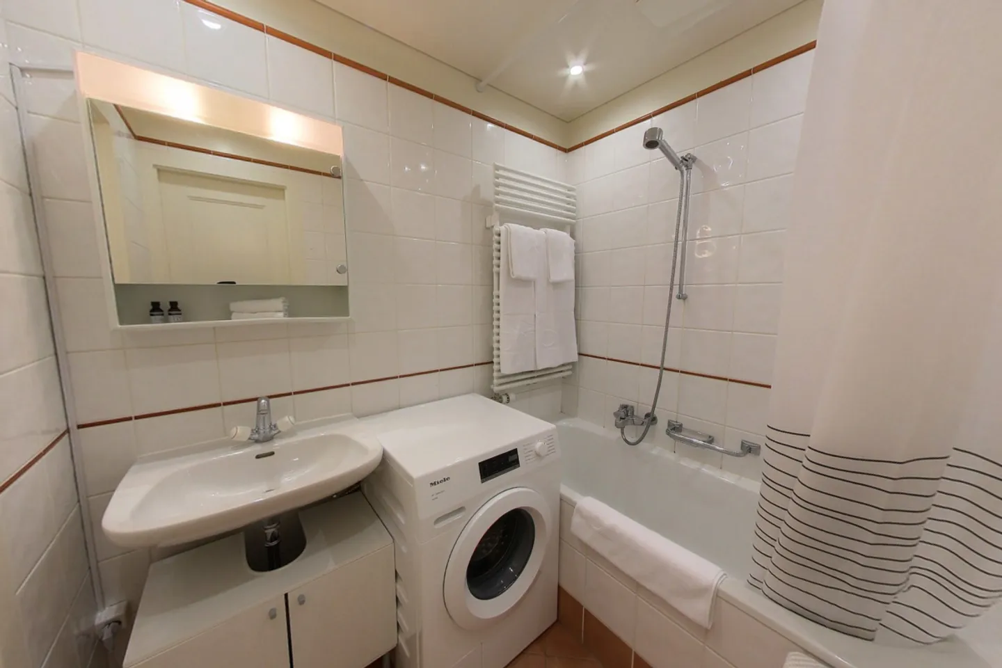 1-Bedroom Furnished Spacious Apartment with Balcony in Geneva! - Foto 7 di 19