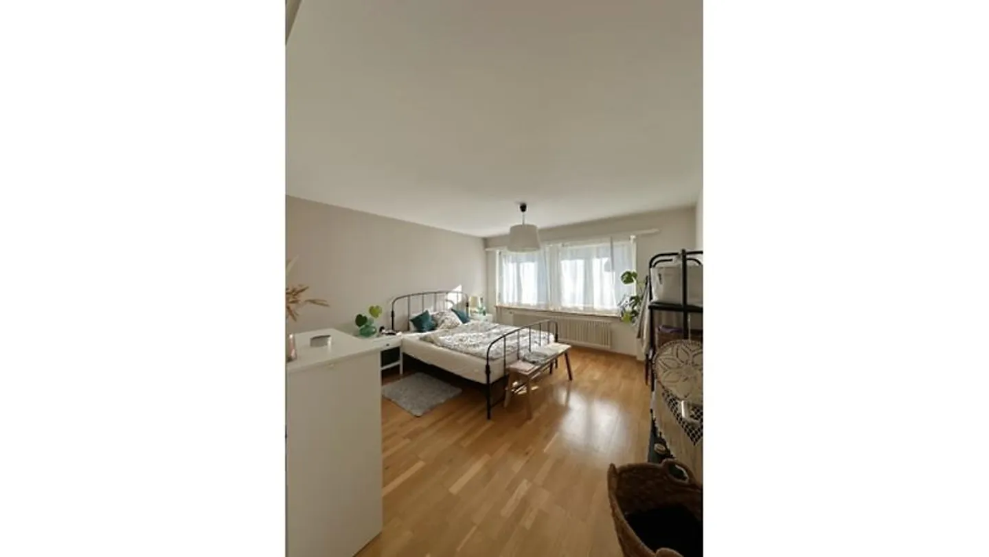 3 ROOM APARTMENT IN ST. GALLEN - ST. GEORGEN, FURNISHED, TEMPORARY - Photo 5 of 10