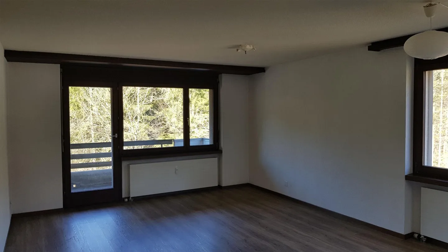 Appartement 1 1/2 pièces - Photo 1 sur 5