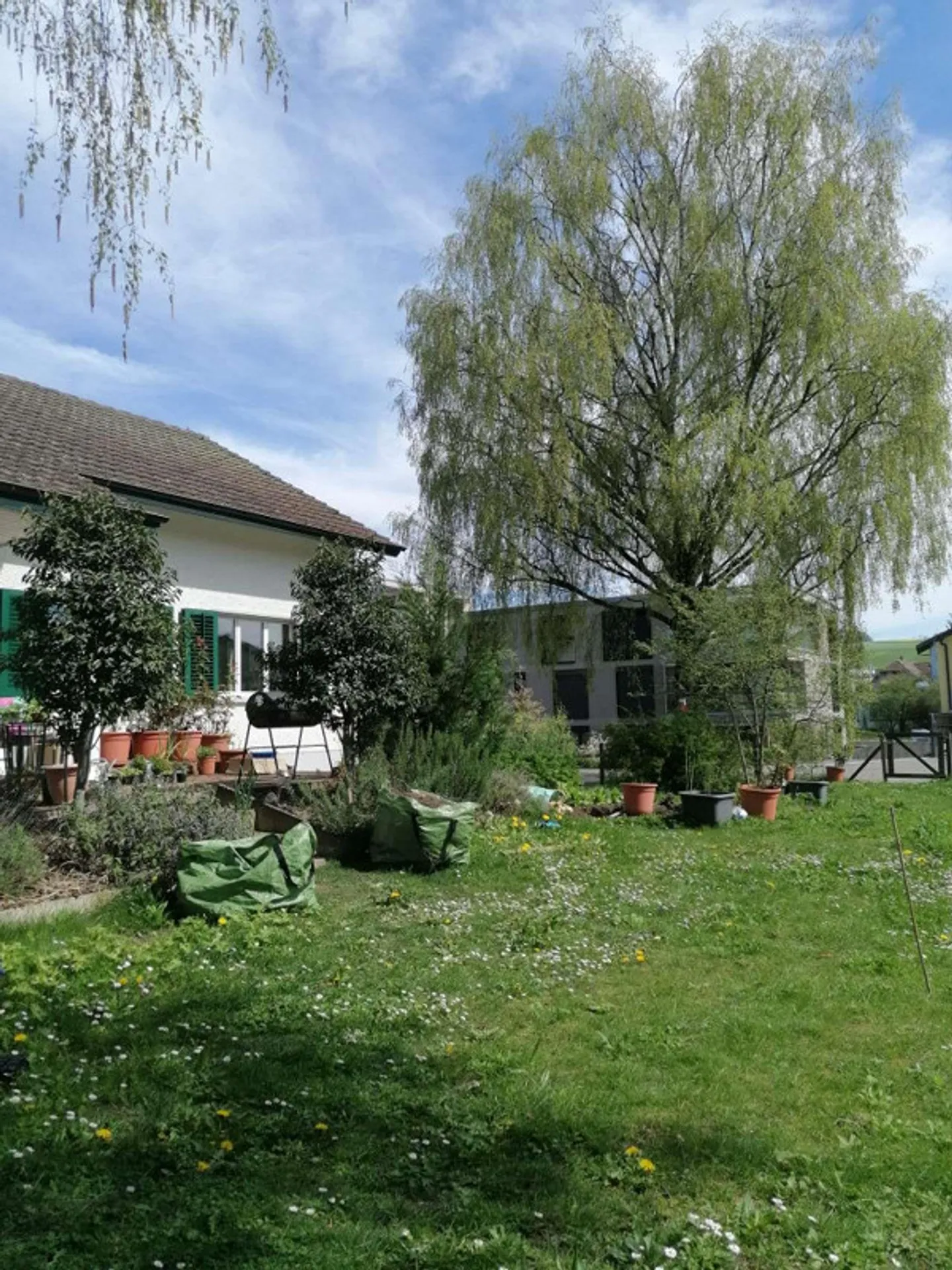 Paradis familial à Eglisau avec grand jardin ! - Photo 15 sur 18