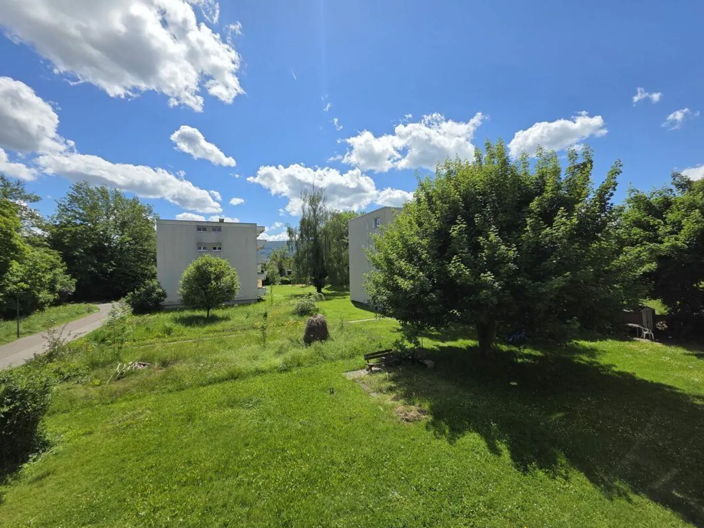 Appartamento ristrutturato di 3,5 locali in un quartiere tranquillo - Foto 6 di 7