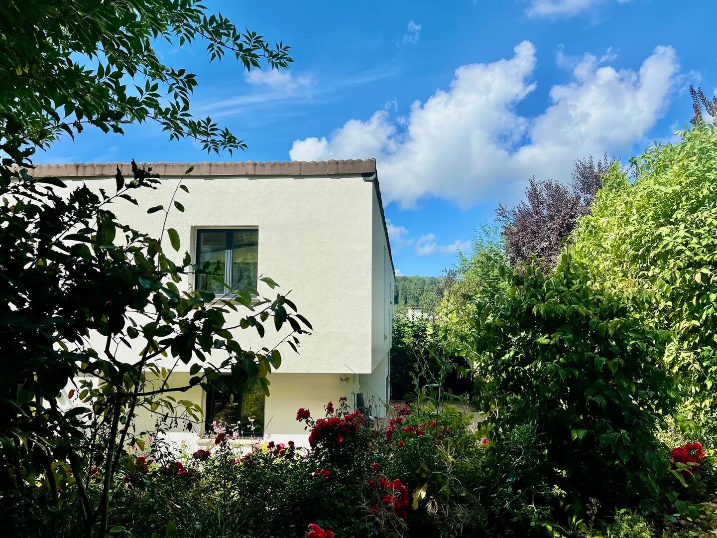 Casa familiare soleggiata vicino a Zurigo - Foto 8 di 10