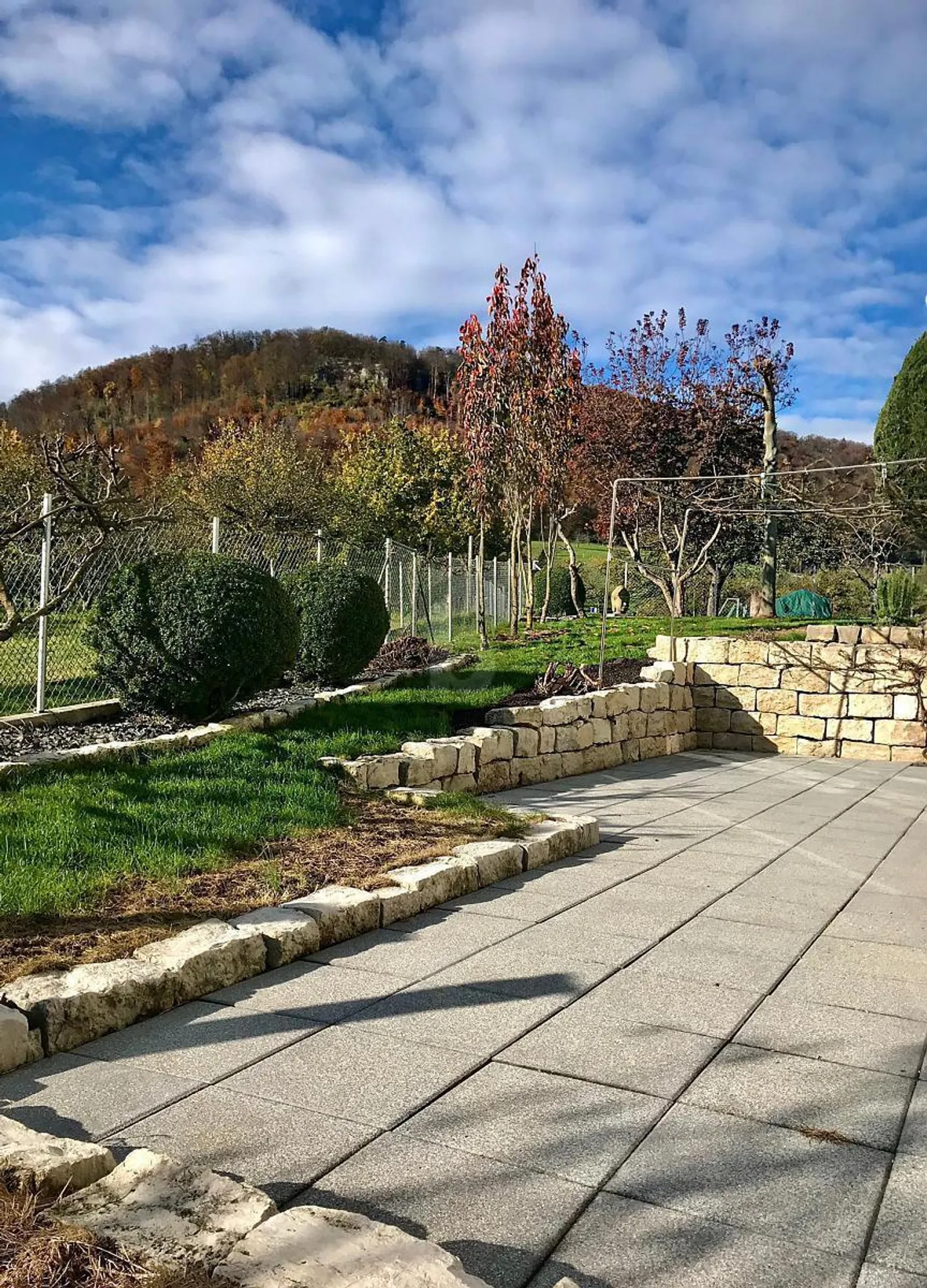 Appartamento in affitto - Foto 1 di 6