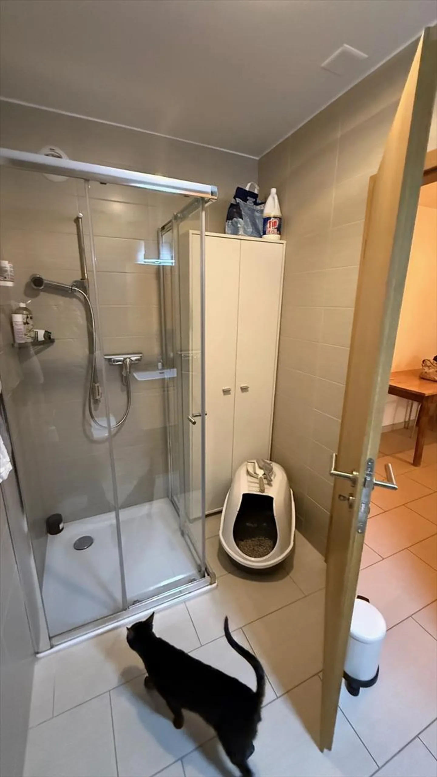 3.5 Room Apartment - Photo 9 of 11