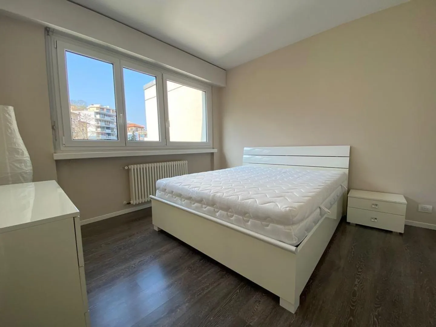 Charming 2.5 Rooms in Paradiso - Photo 4 of 6