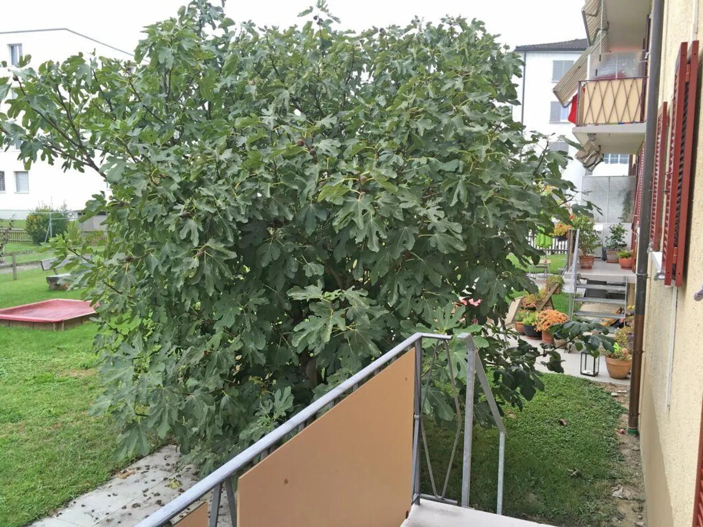 Appartamento luminoso con balcone e area giardino privata - Foto 2 di 13