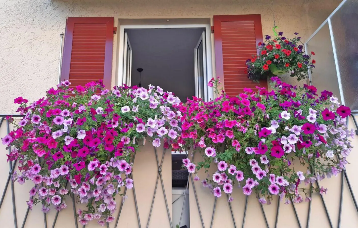 Appartamento luminoso con balcone e area giardino privata - Foto 1 di 13