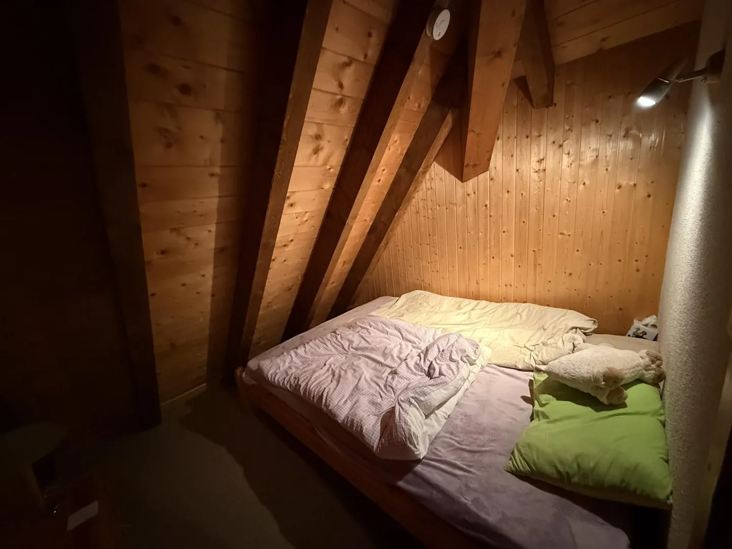 Charming Duplex in Moléson - Photo 3 of 8