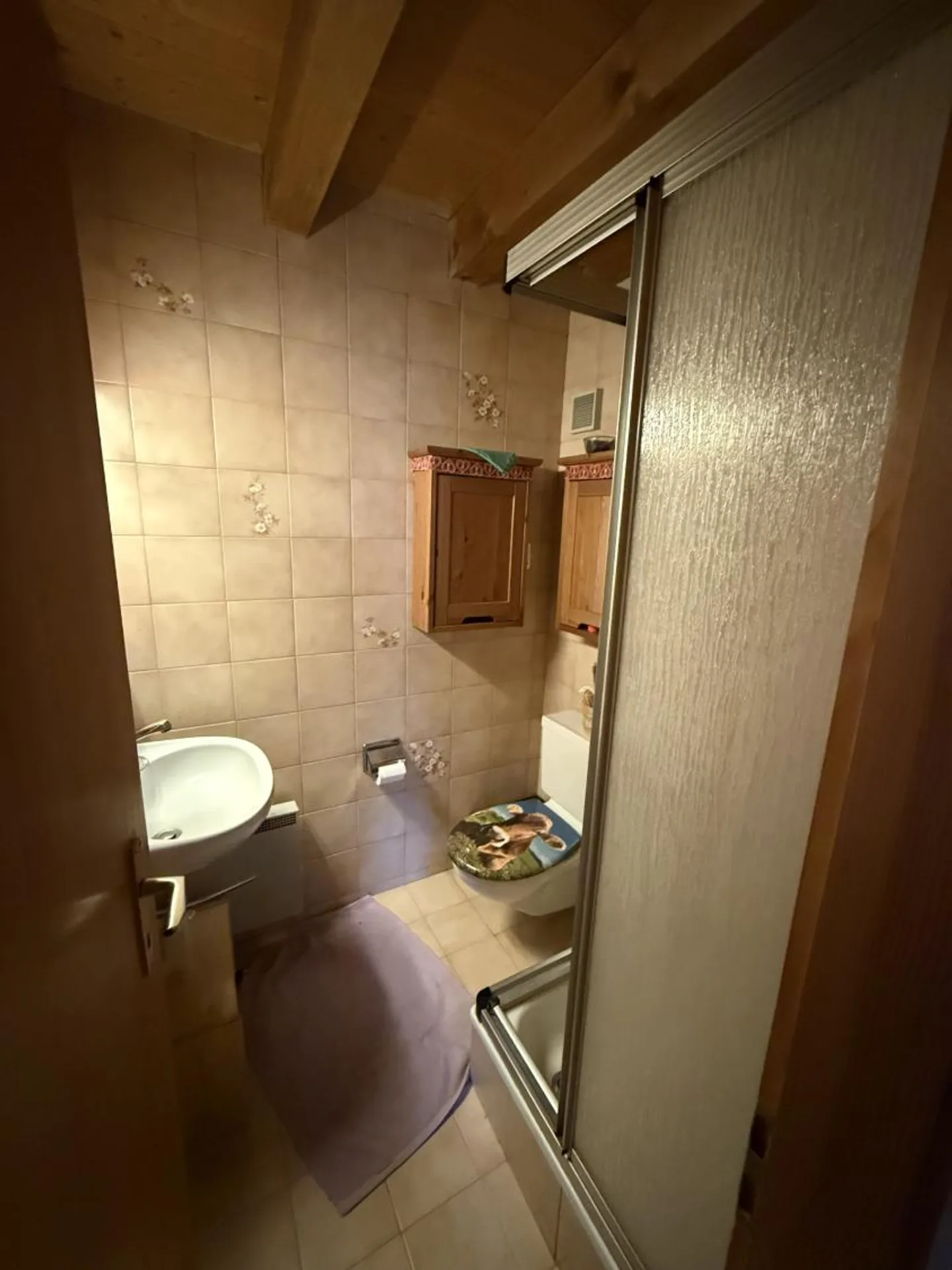 Charming Duplex in Moléson - Photo 7 of 8