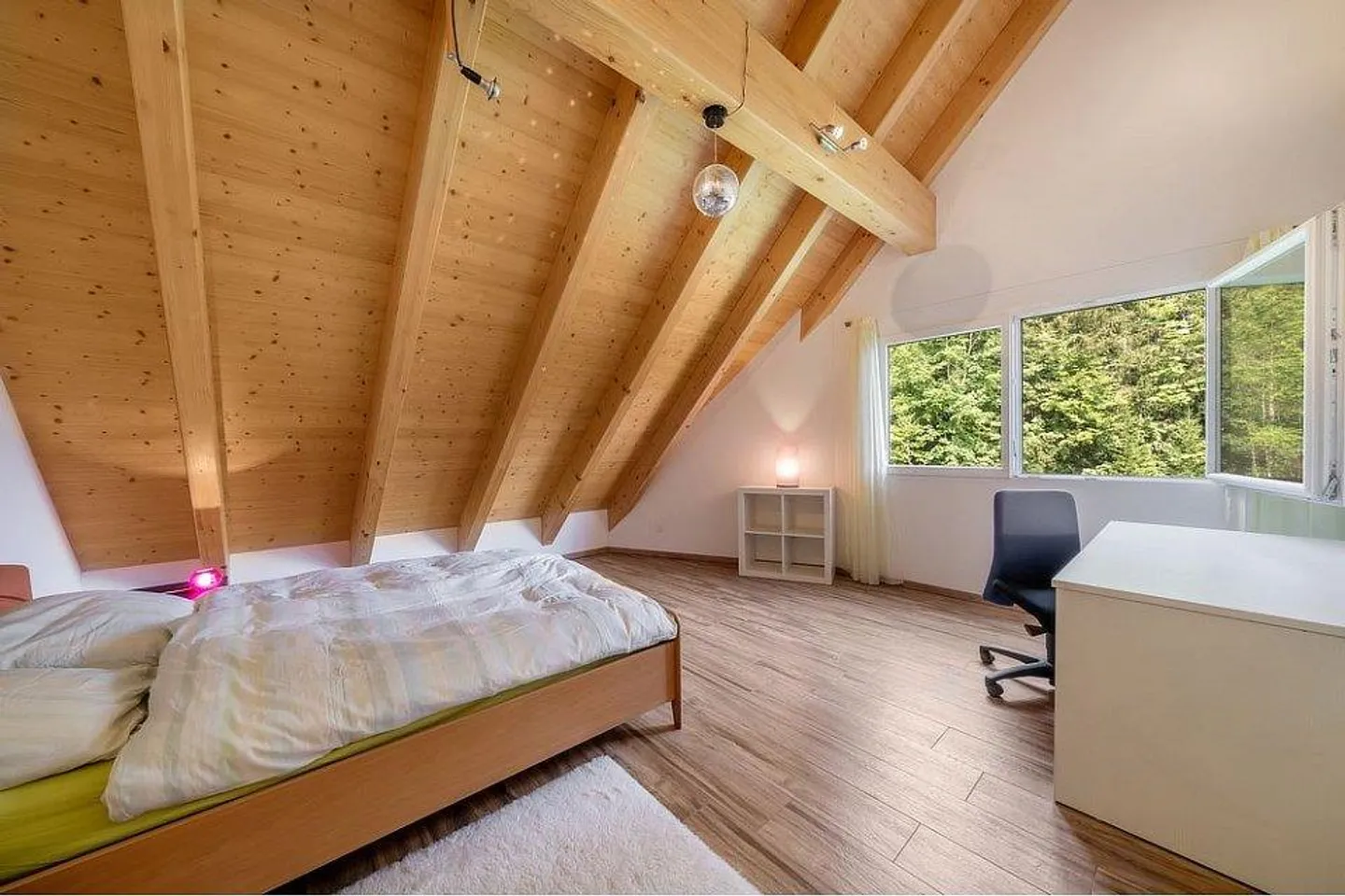 House section with apartment or both house sections - Photo 11 of 12